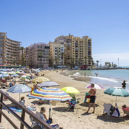 Alegria Pedro Lorca * Torrevieja